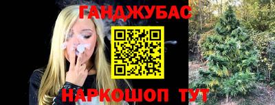 молекула духа Краснознаменск