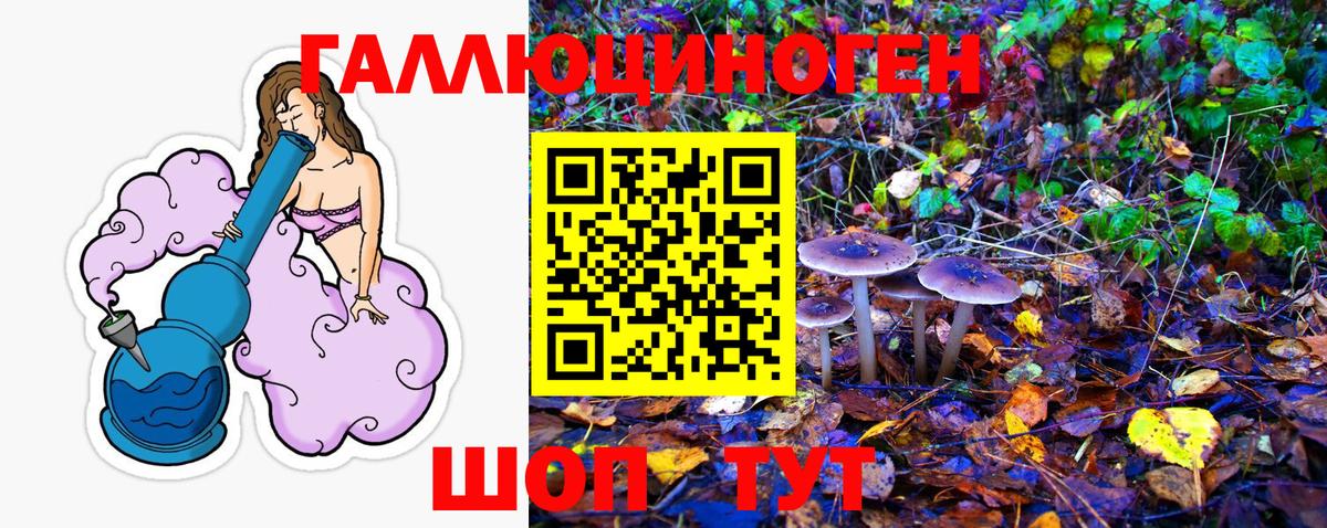 Псилоцибиновые грибы Cubensis Краснокамск