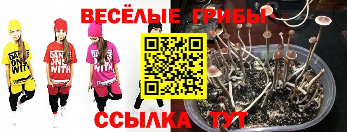 Галлюциногенные грибы мицелий  купить  сайты  Краснокамск  Вход с VPN 